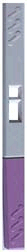 preg.gif (10763 bytes)
